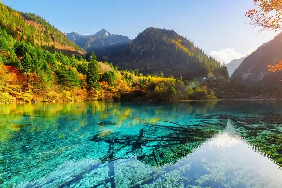 Lac des Cinq Fleurs en Chine : le joyau du parc de Jiuzhaigou