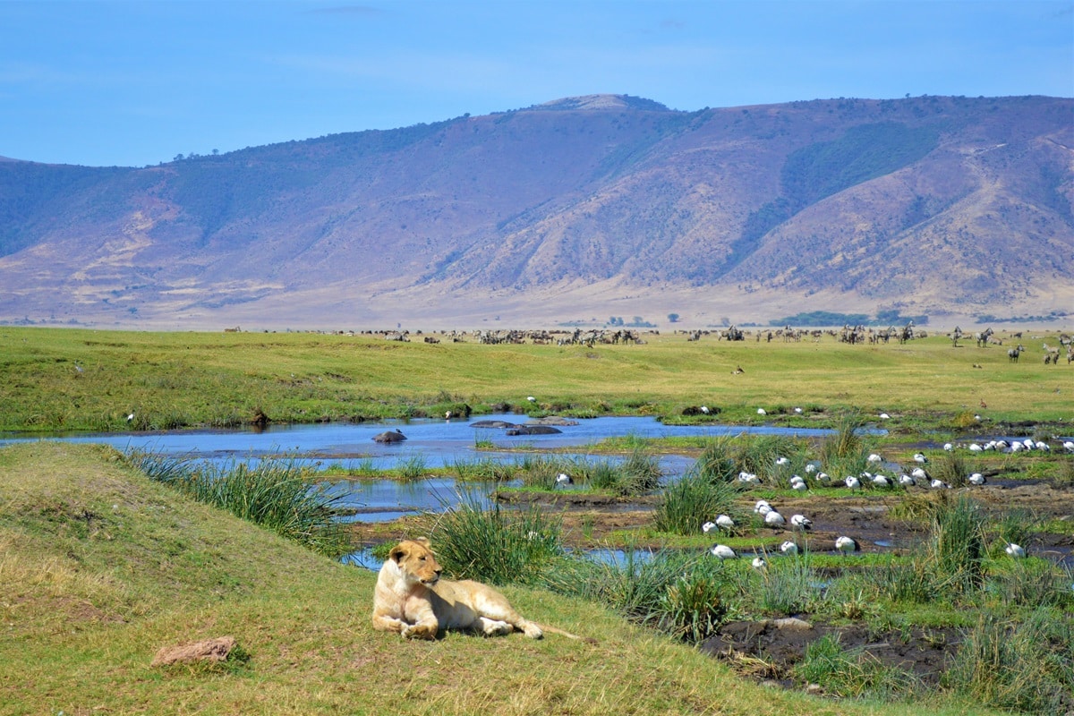 Zone de conservation du Ngorongoro : guide de visite