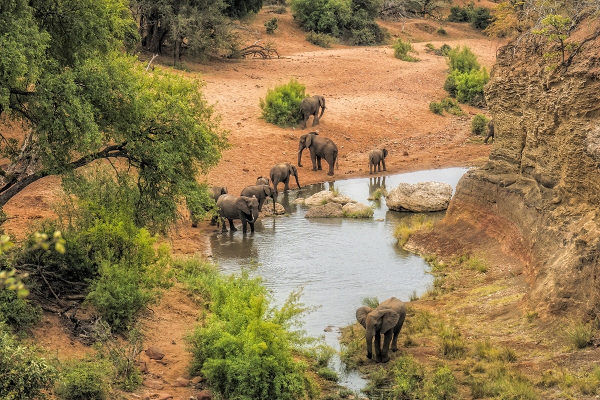 parc national kruger