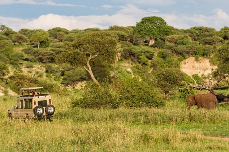 Parc National De Tarangire En Tanzanie Guide De Visite