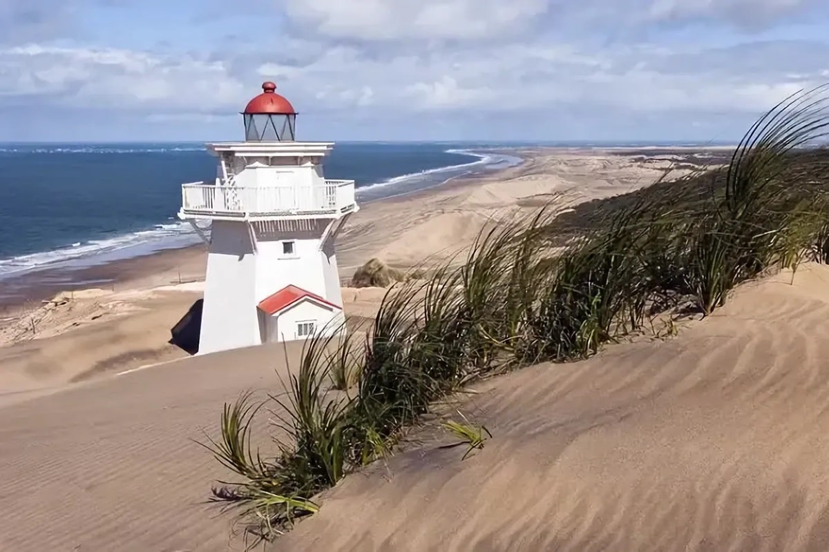 Port de Kaipara en Nouvelle Zélande : guide de visite