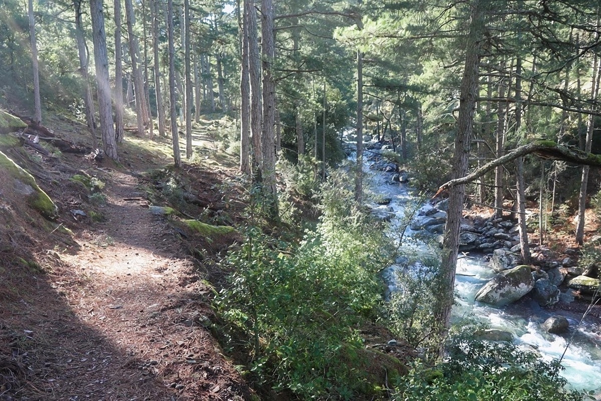 Sentier de découverte dans la forêt de Tartagine