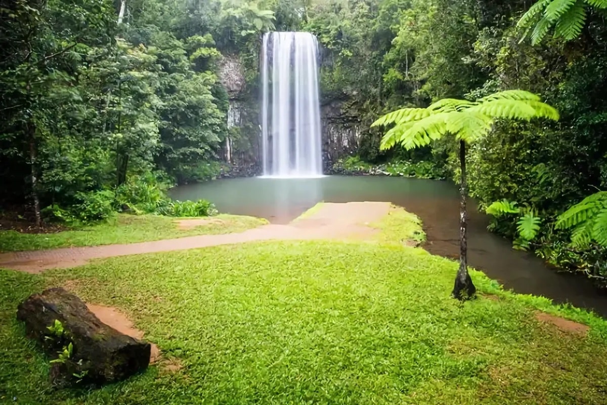 Millaa Millaa : le circuit des cascades au nord du Queensland