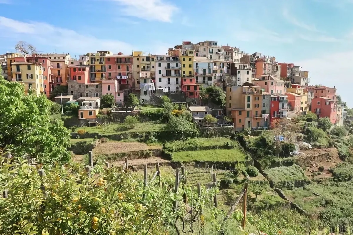 visiter corniglia