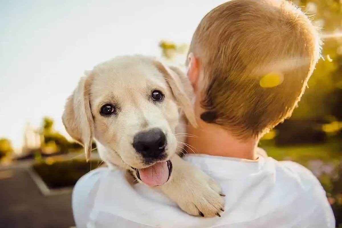 Comment faire garder son chien lorsqu'on part en voyage