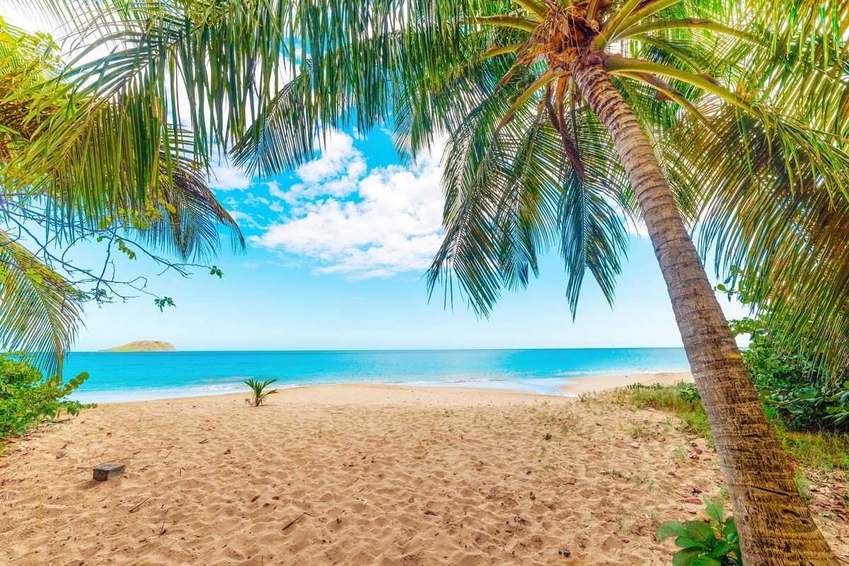 Quel est le meilleur moment pour se rendre en Guadeloupe