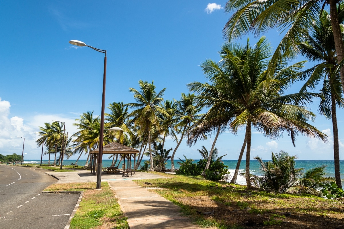 Quels sont les différents moyens de se déplacer en Guadeloupe