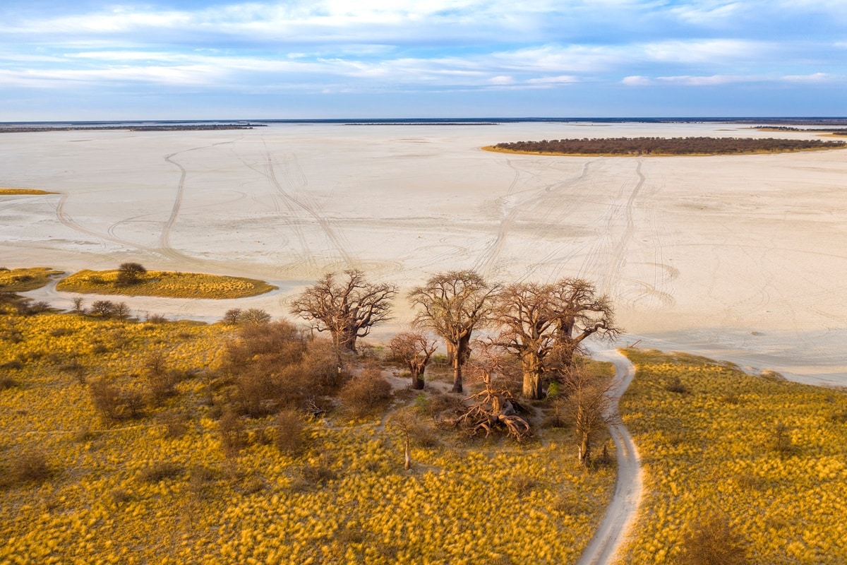 Parc national de Nxai Pan : informations et guide de visite