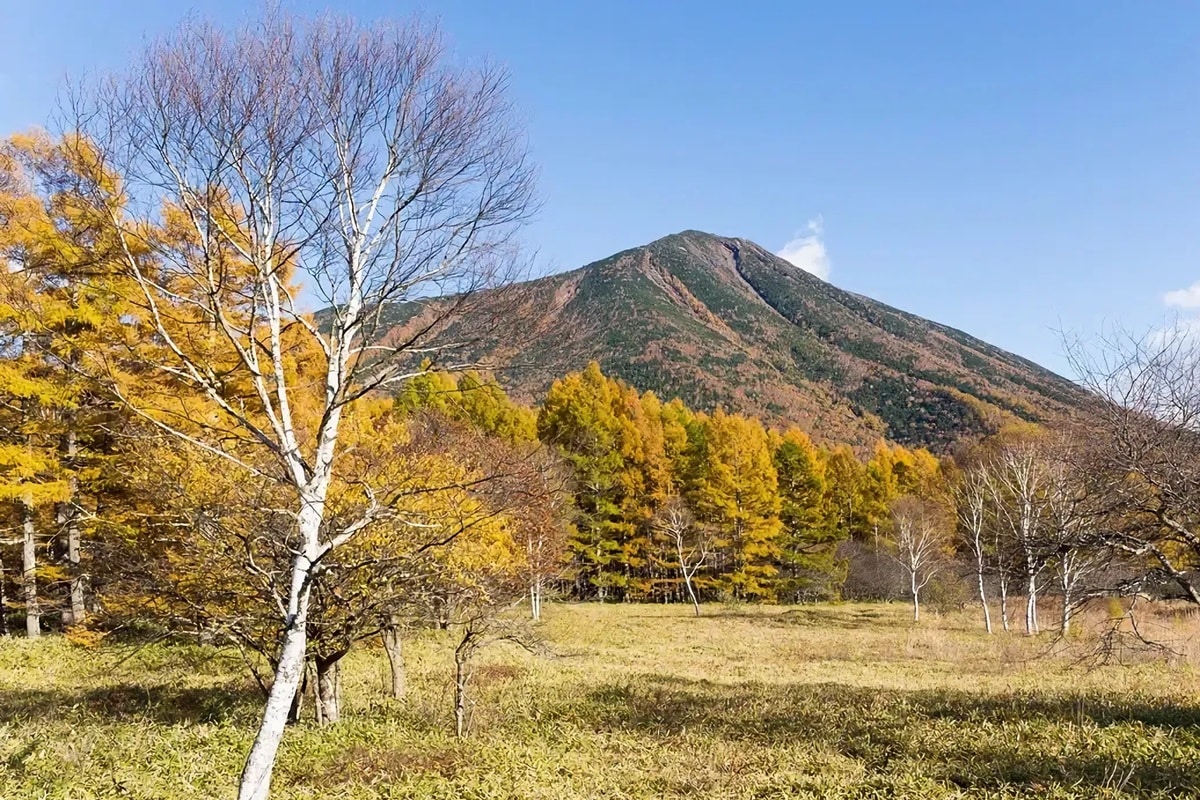 Parc national de Nikko : guide