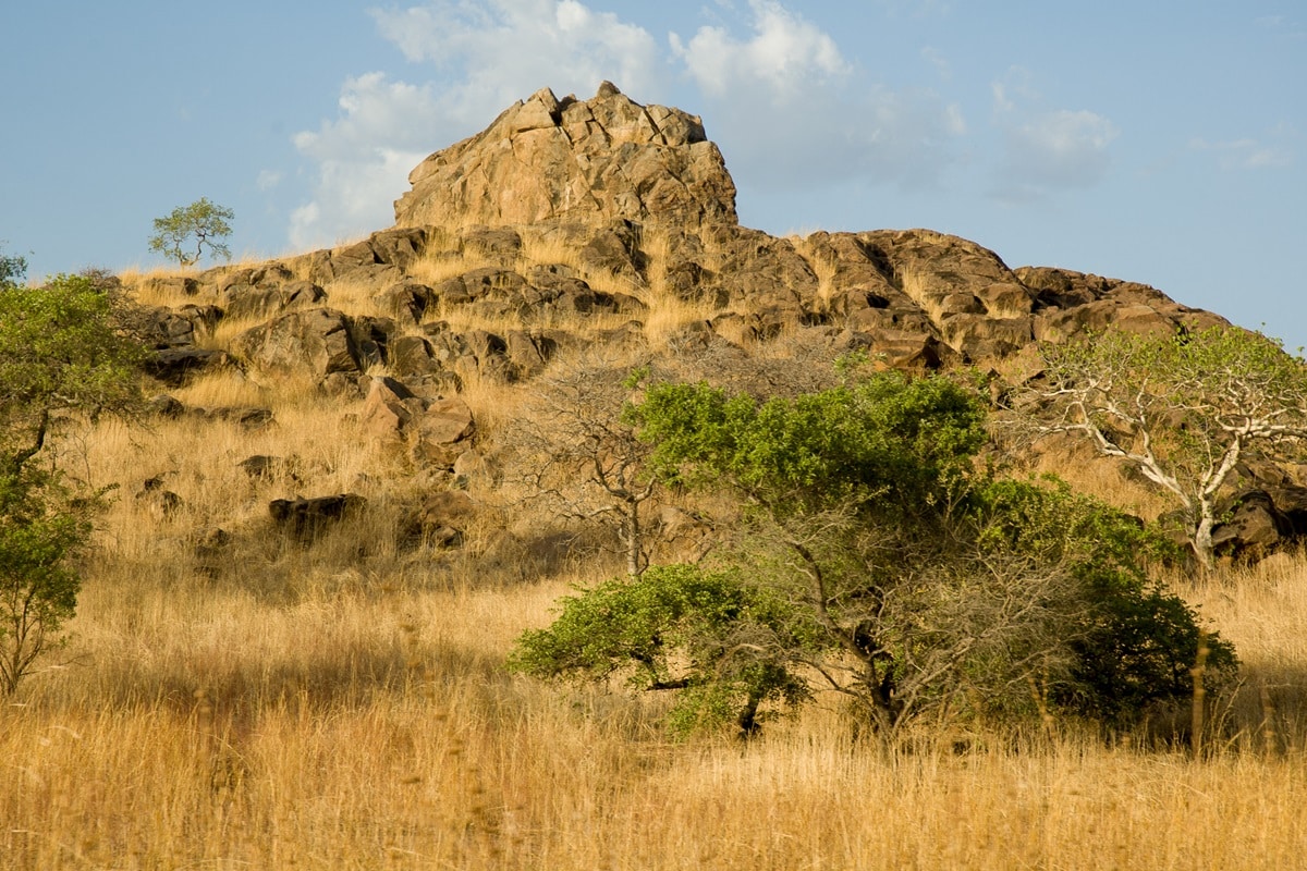 Parc national de Waza