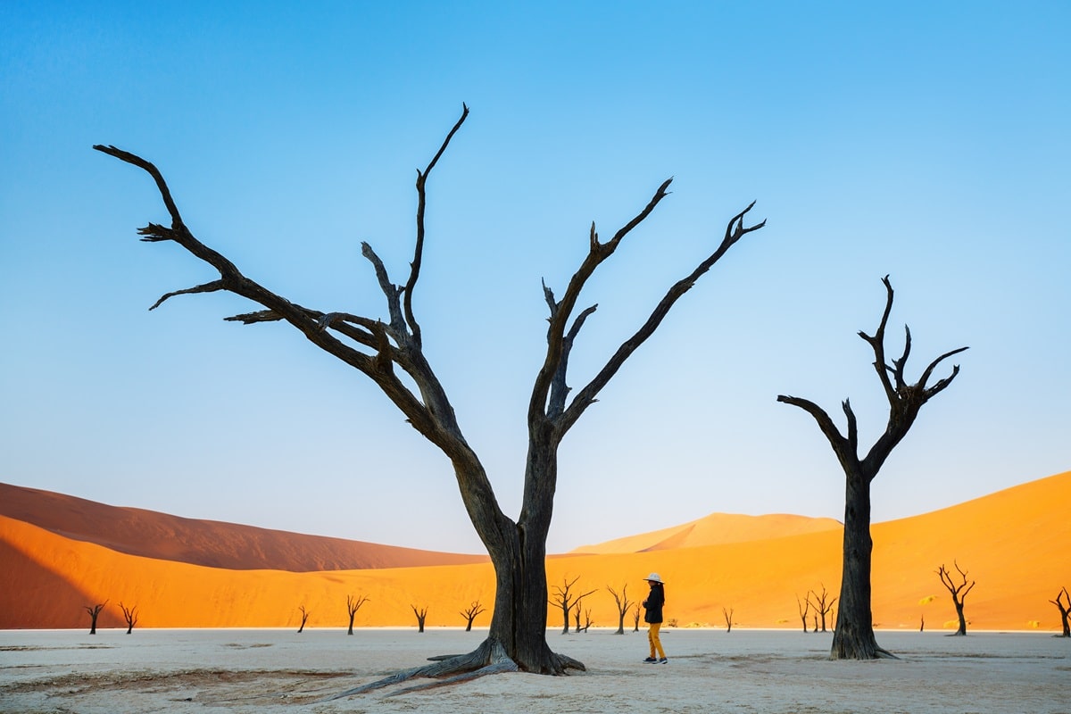 Deadvlei est plus impressionnant que Sossusvlei : voici pourquoi