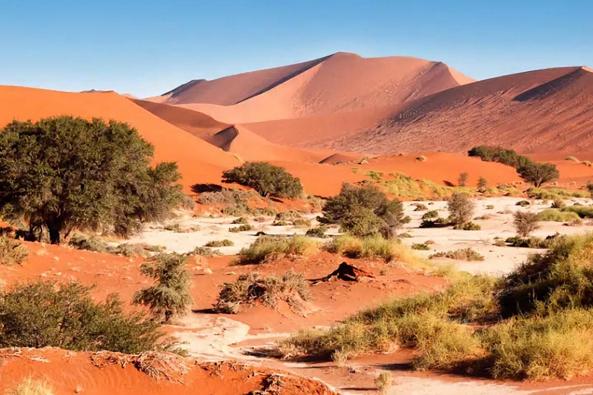 visiter Sossusvlei