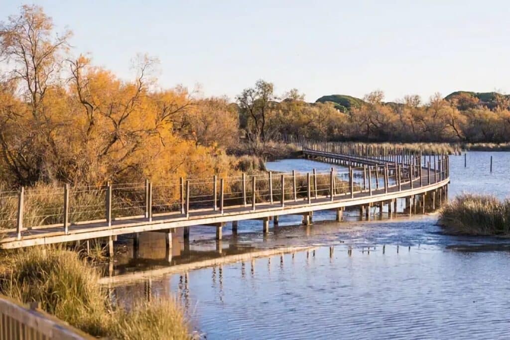 Pourquoi la Camargue plaît aux amoureux de la nature