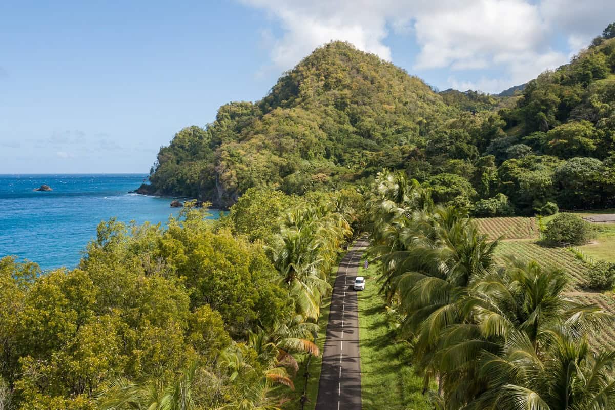 Comment se déplacer à la Martinique