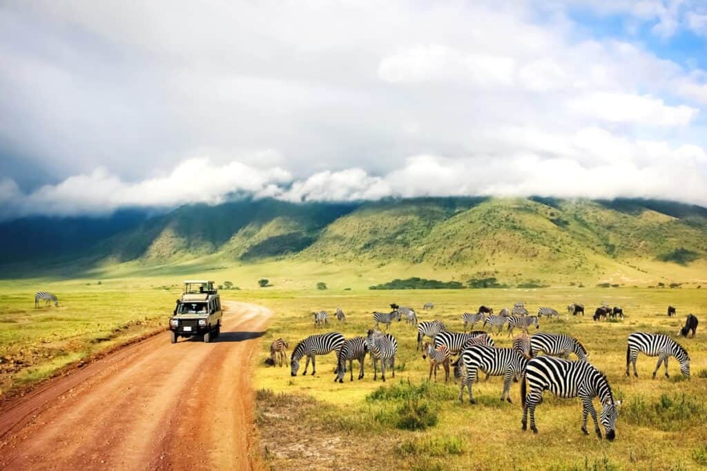 safari en Tanzanie