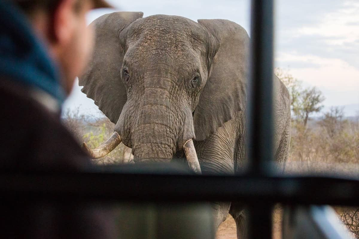 Combien de temps faut-il pour faire un safari en Zambie ?