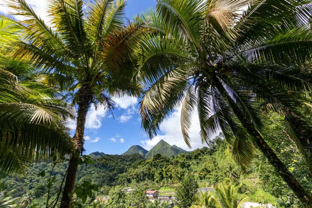 5 activités à faire en Martinique