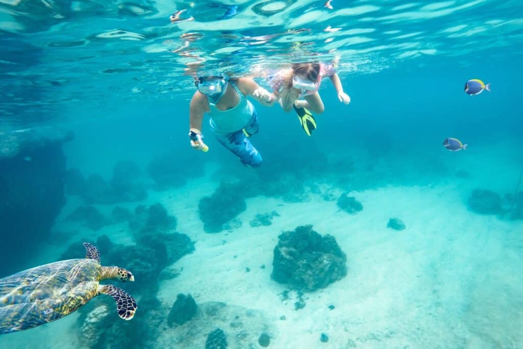 snorkeling en Martinique