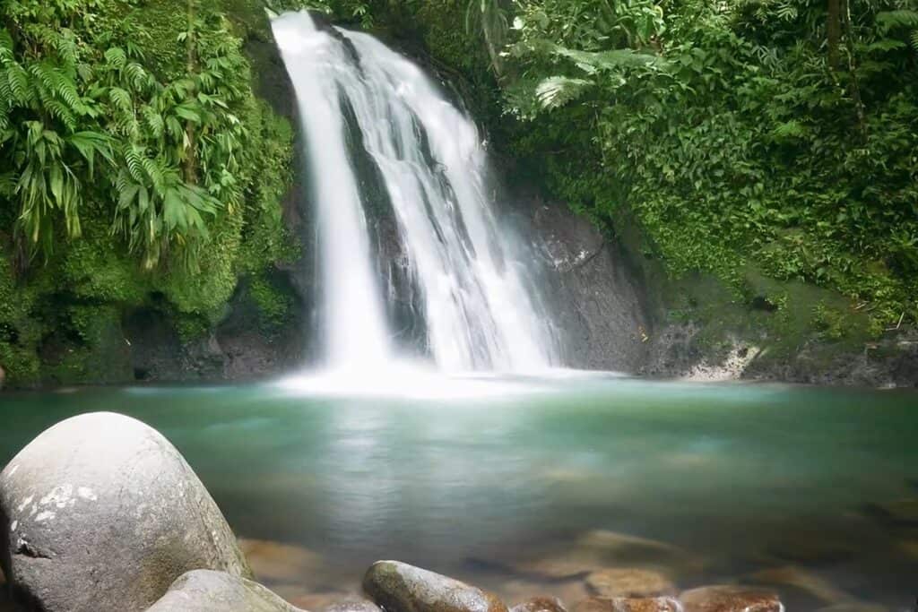cascades aux écrevisses en Guadeloupe