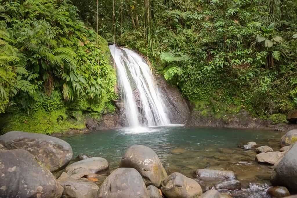 cascades aux écrevisses en Guadeloupe