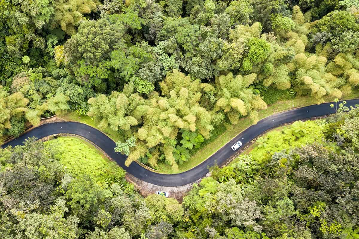 La découverte de la Martinique lors d’un road trip en voiture