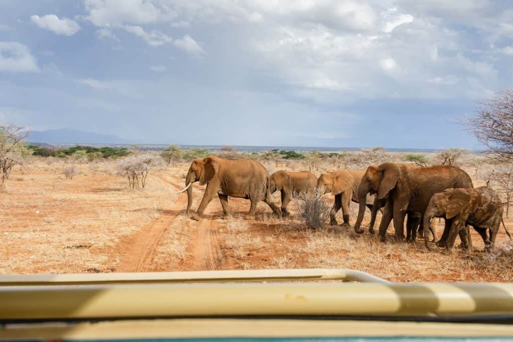 safari à Samburu