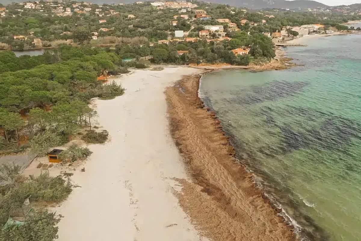 plage à Sainte Lucie de Porto Vecchio