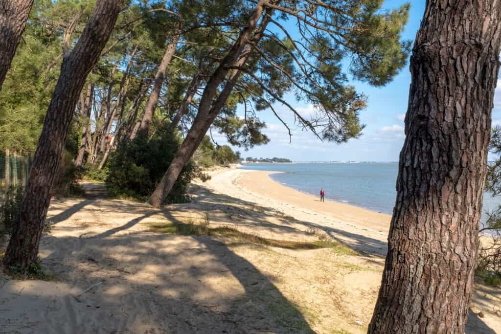 Saint-trojan-les-bains plage sur l'île d'Oléron