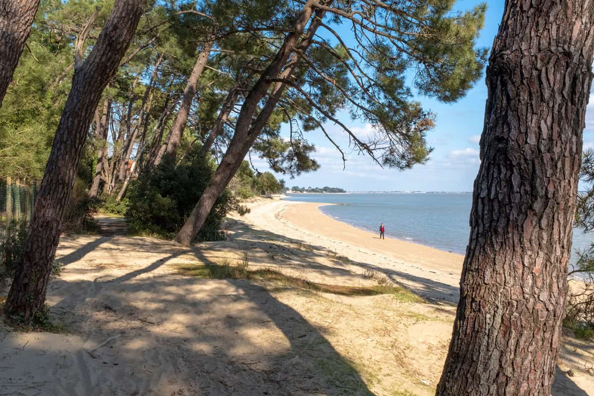 Saint-trojan-les-bains plage sur l'île d'Oléron