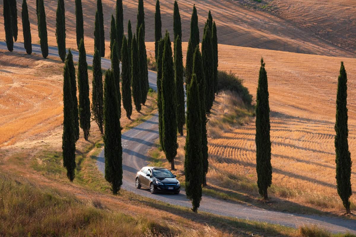 voiture sur une route en Toscane