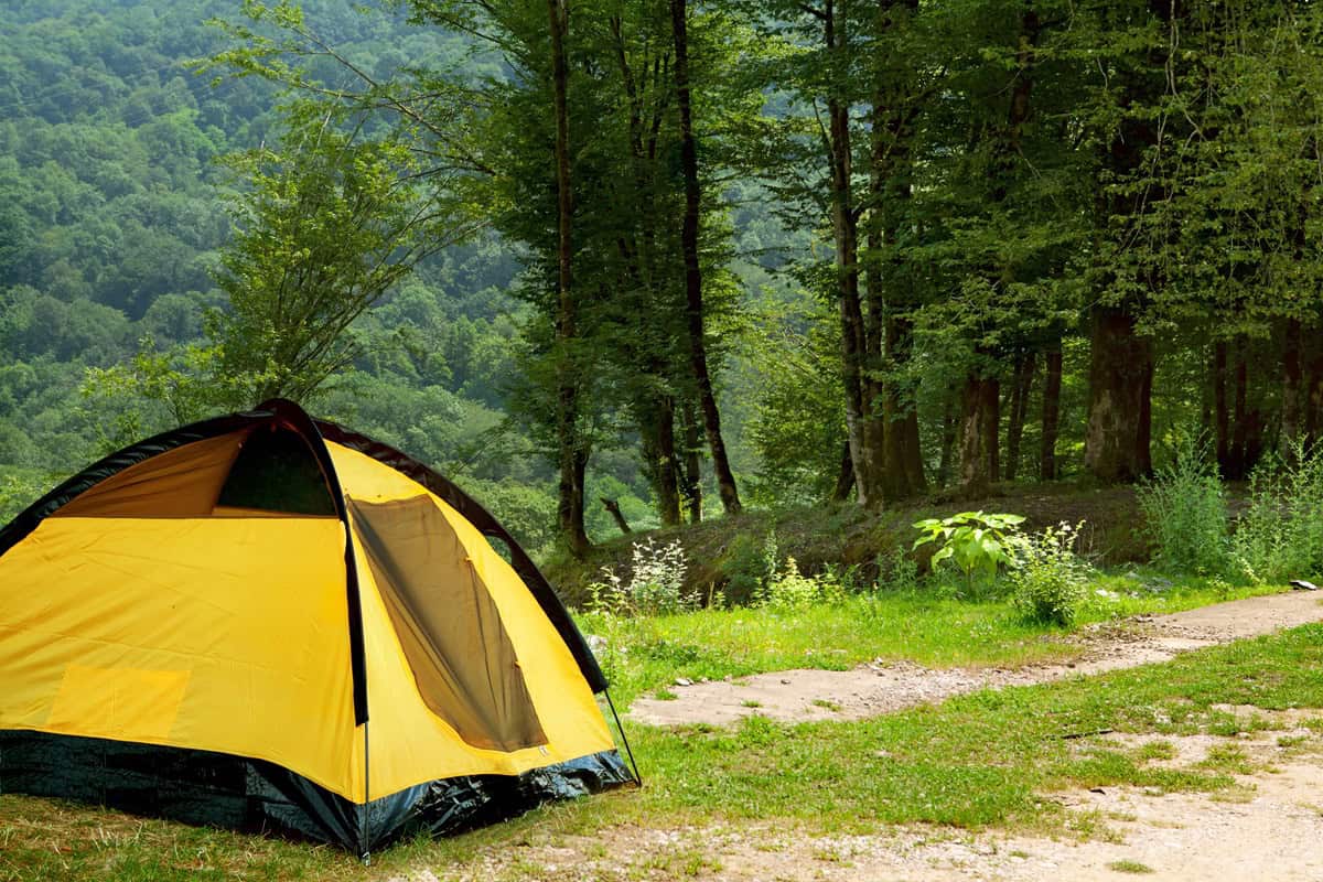 toile de tente en pleine nature