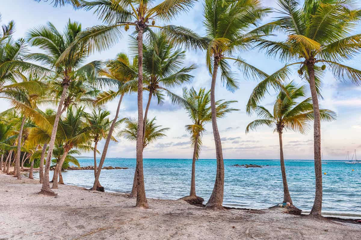 plage de l'Anse Champagne à Saint-François en Guadeloupe