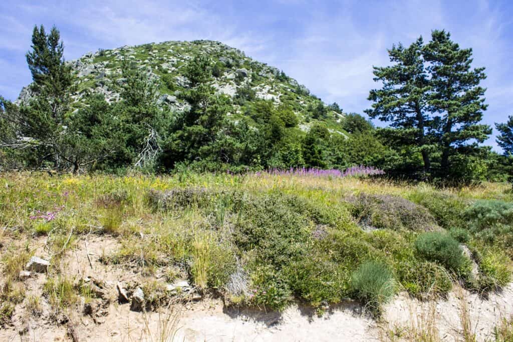 mont Gerbier de Jonc