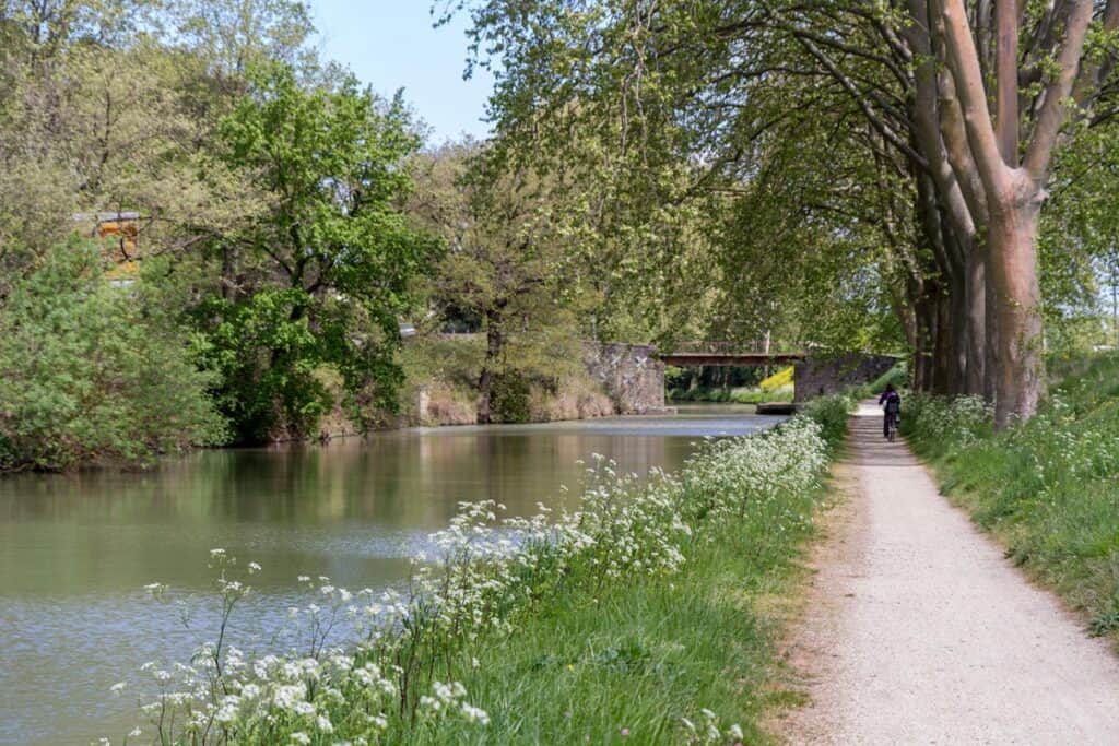 Voie Verte du Canal du Midi