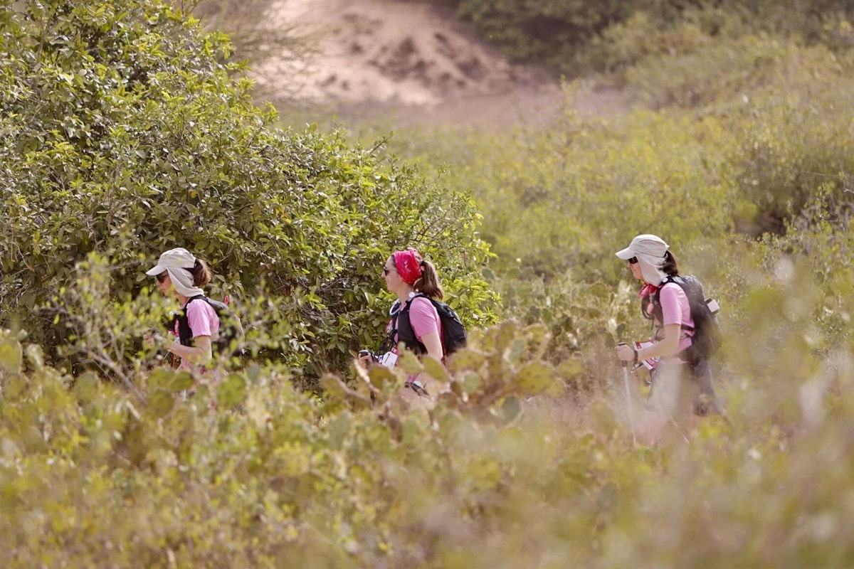 Partez à l’aventure avec le Trek Rose Trip