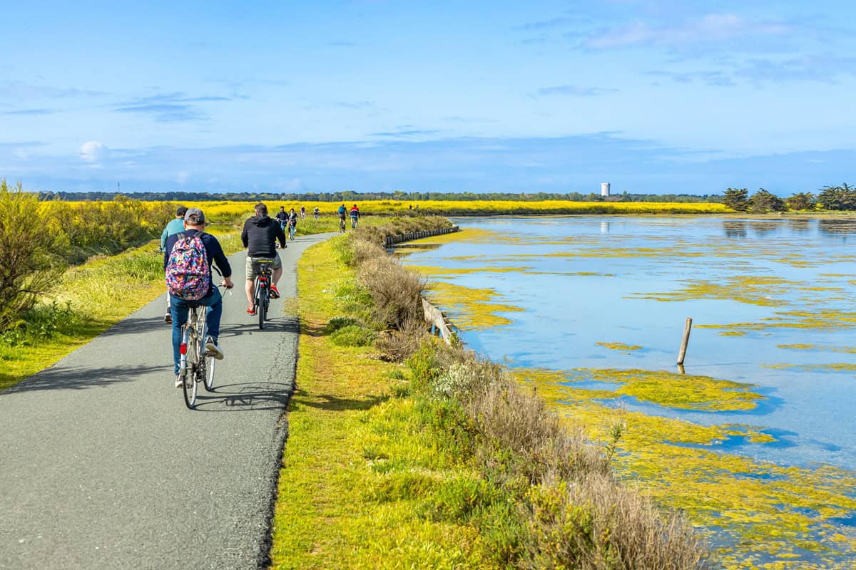 Partir en camping sur l’île de Ré : découvrez les activités