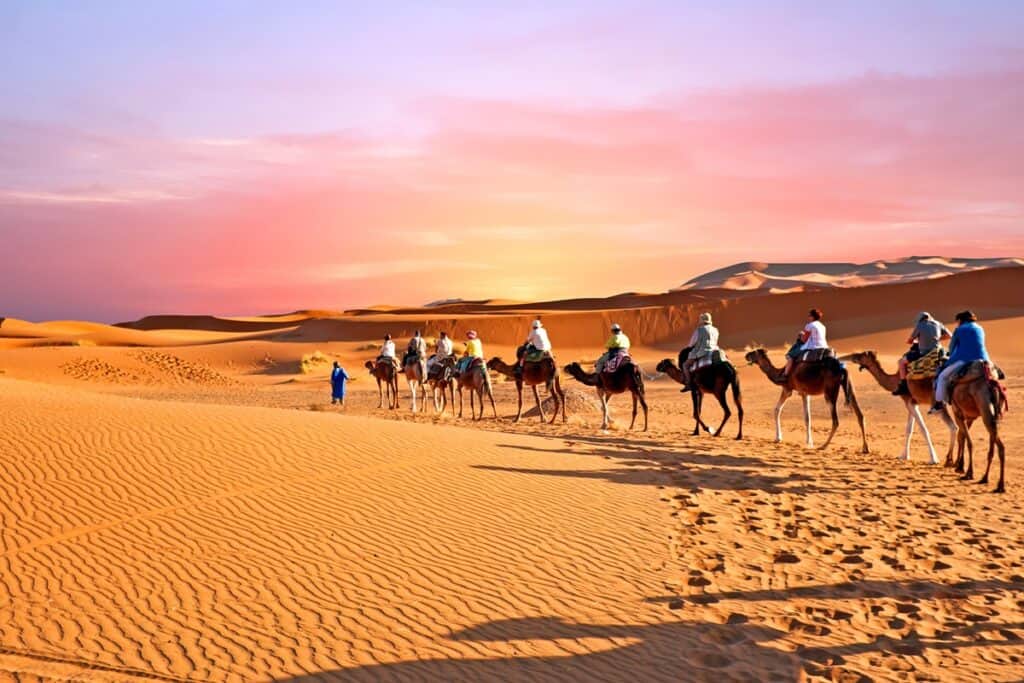 chameaux dans les dunes du Sahara