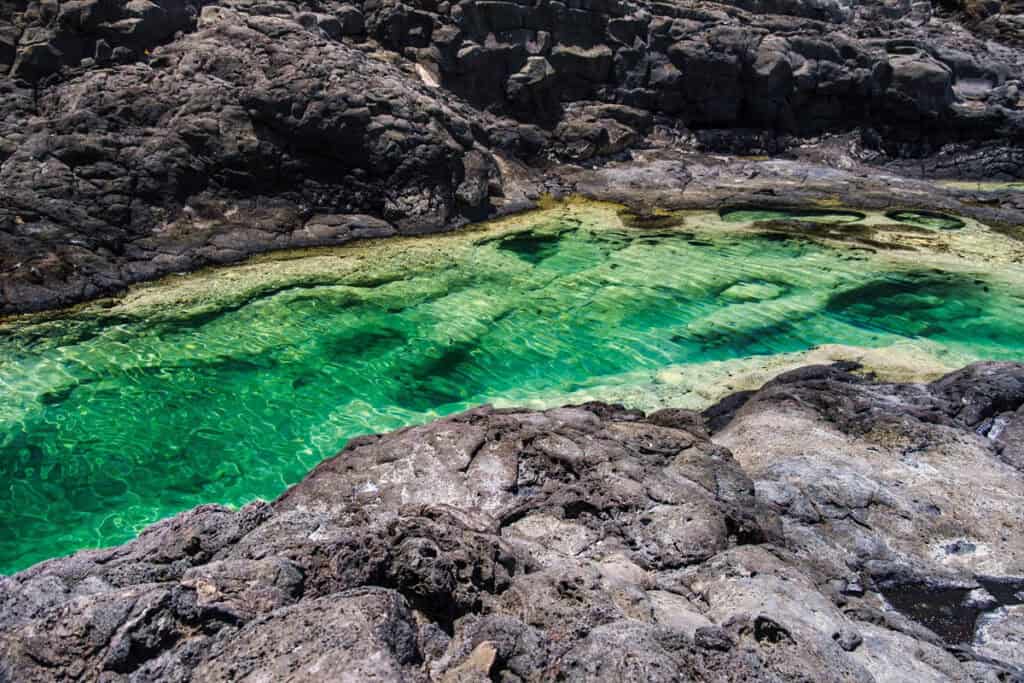 piscine naturelle