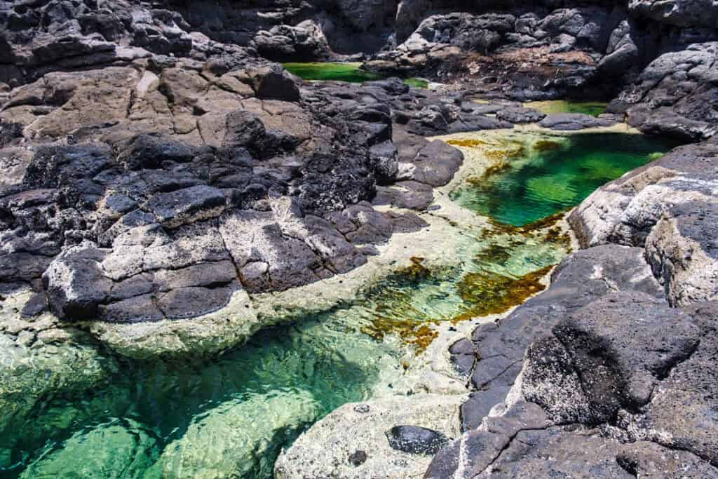 piscines naturelles