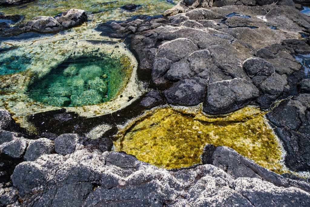 piscines naturelles