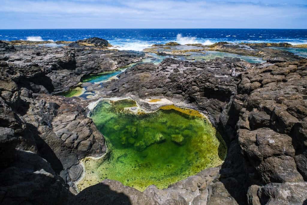 los carcones piscine naturelle