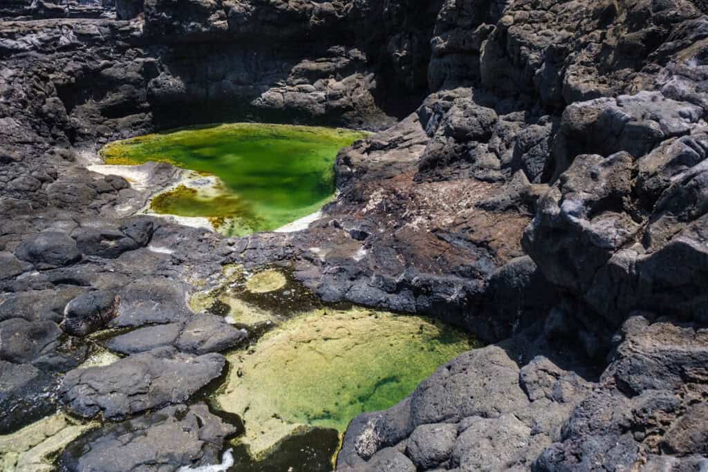 piscines naturelles