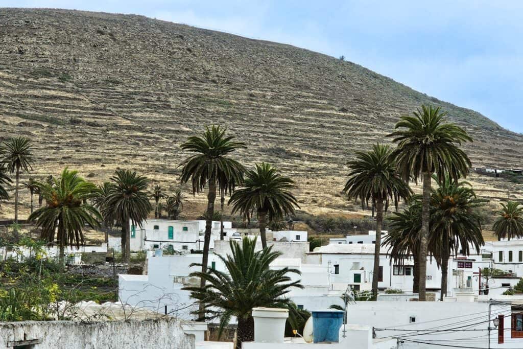 maisons et palmiers à Haria