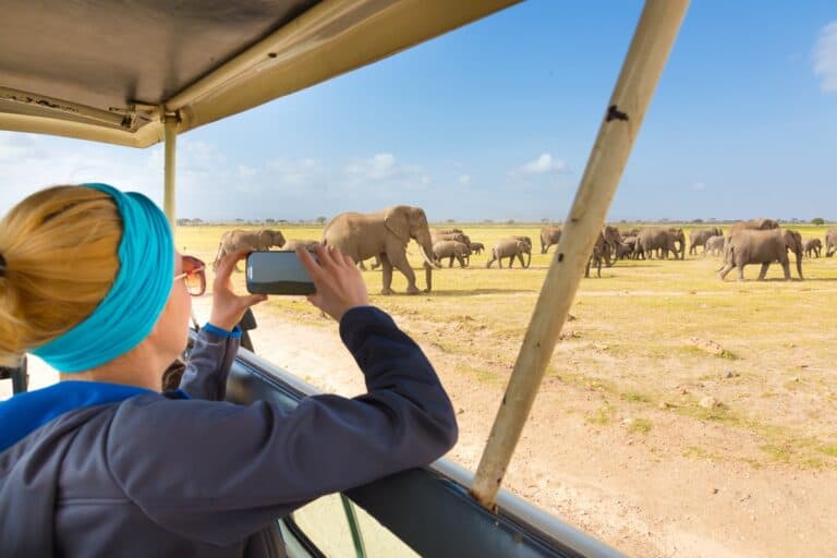 safari en Tanzanie