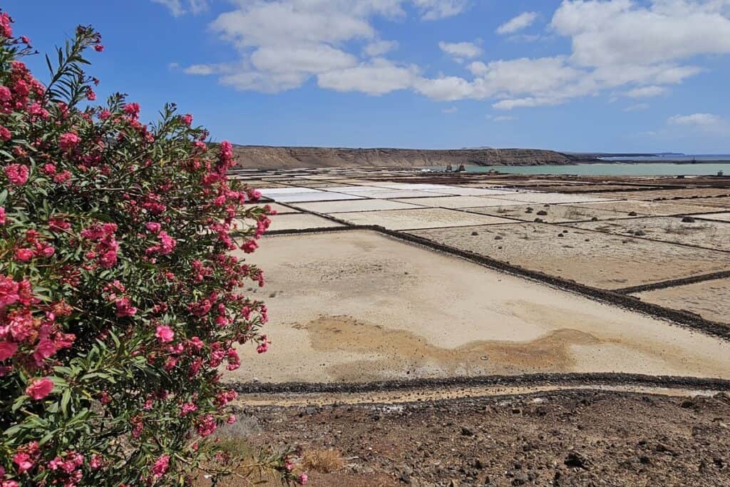 les salines de Janubio