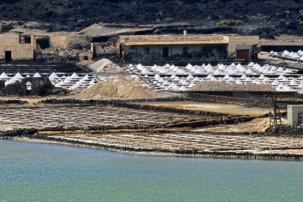 salines janubio