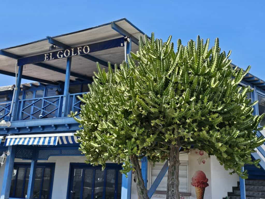 restaurant el golfo