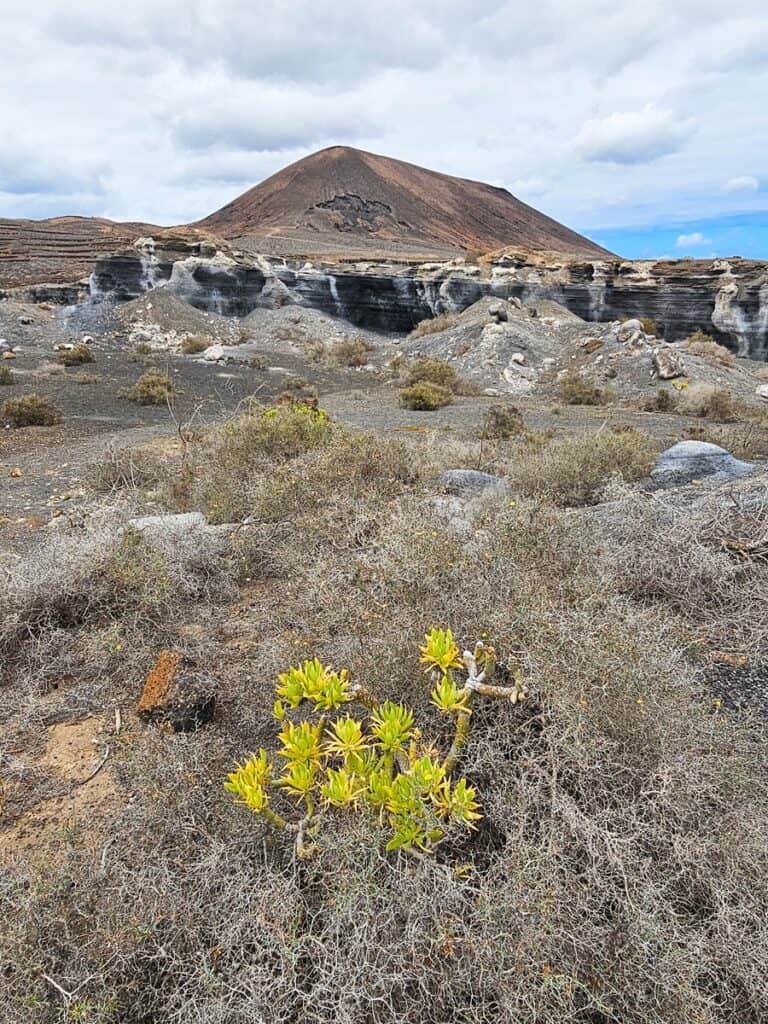 paysage volcanique lanzarote