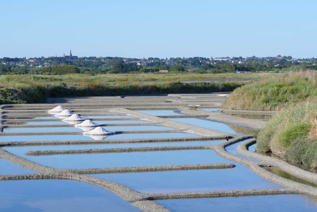 marais salants de Guérande