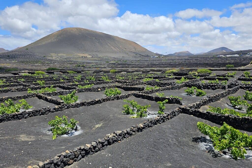 La Geria à Lanzarote